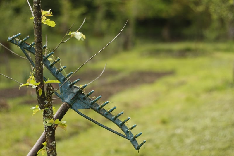 Gardening Tools